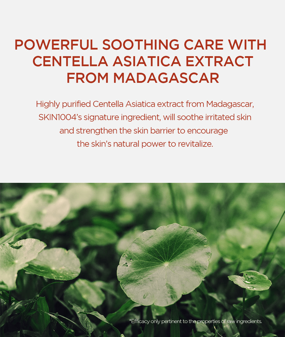 SKIN1004 Madagascar Centella Poremizing Fresh Ampoule 100ml – Pore - Refining & Hydrating Ampoule for Smooth, Clear Skin - Korean Beauty KR