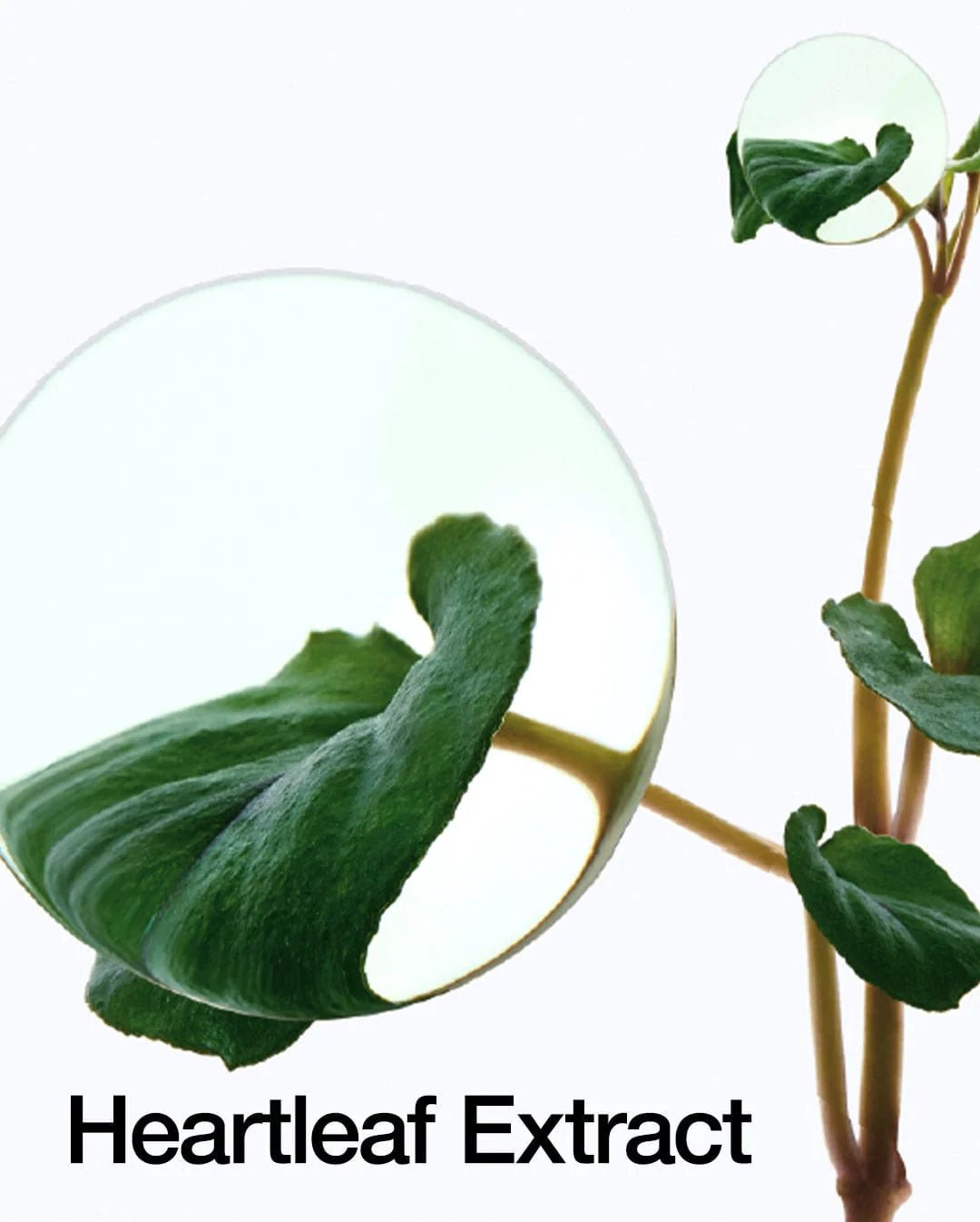 Anua Heartleaf 77% Toner Pad 70ea – Soothing & Hydrating Toner Pads for Sensitive Skin - Korean Beauty KR