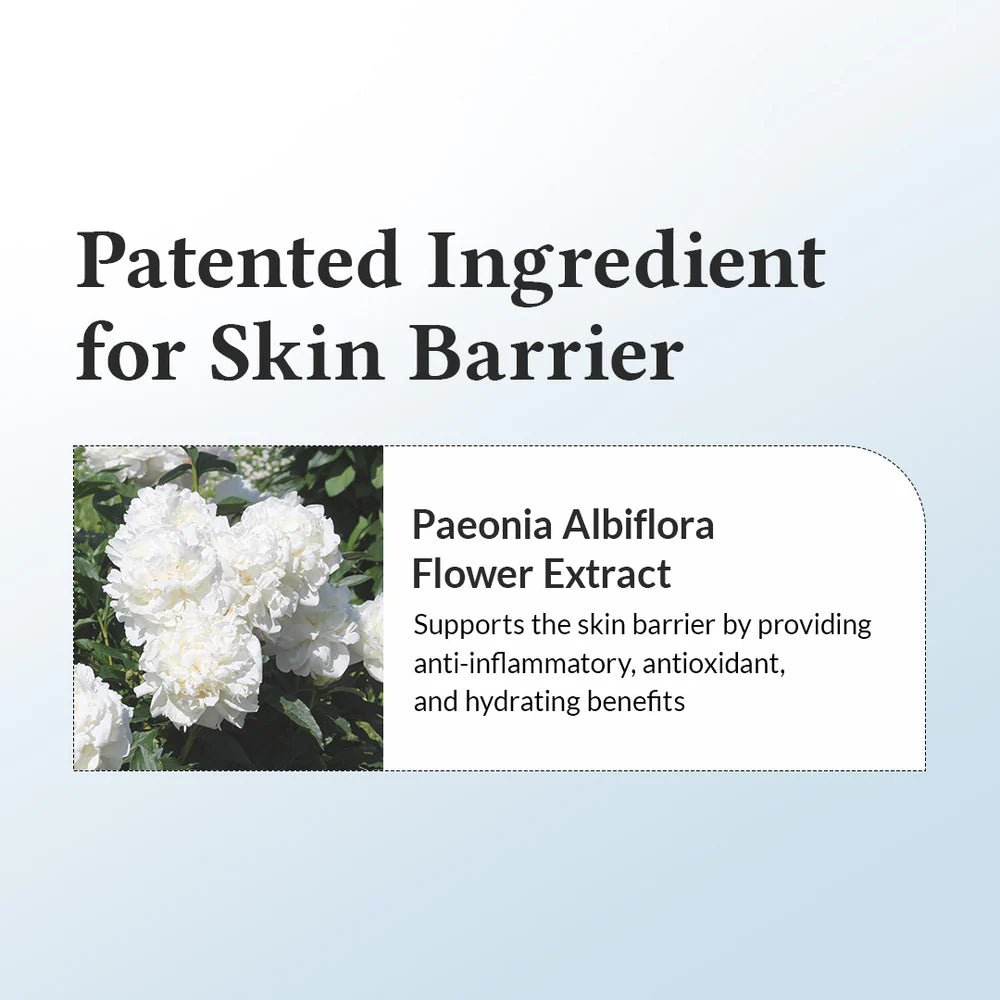 Dr. Althea 147 Skin Barrier Repair Cream – Intensive Moisturizer for Sensitive & Dry Skin - Korean Beauty KR