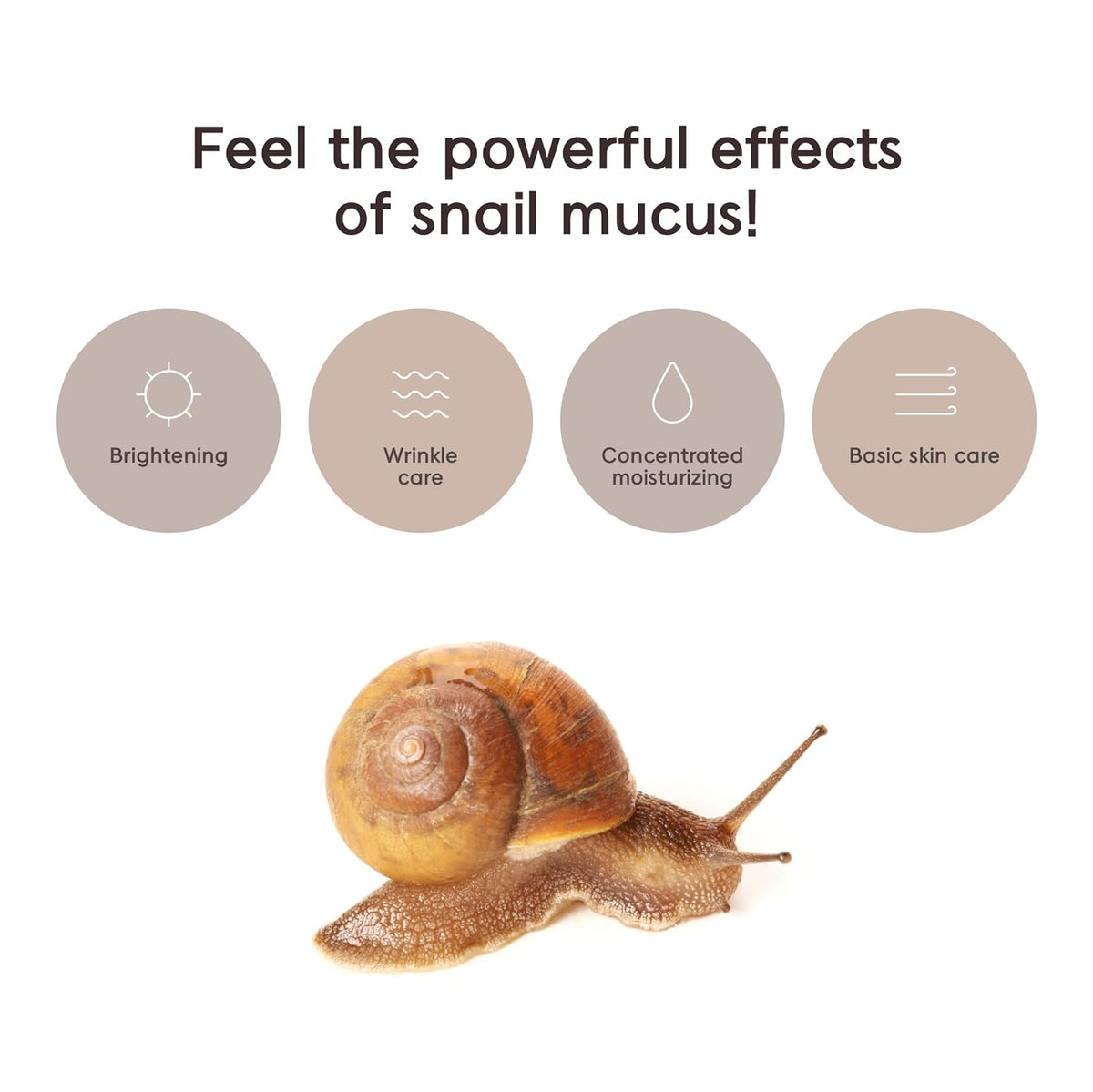3W Clinic Gold & Snail Intensive Care 4 Set - Korean Beauty KR