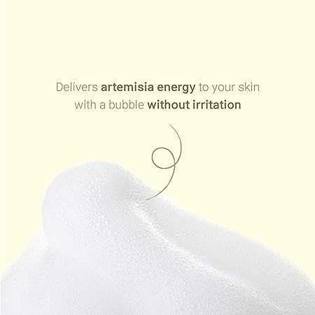 Fraijour Original Artemisia Injin - Ssuk Bubble Foam Cleanser 200ml – Soothing & Deep Cleansing Foam for Fresh, Clear Skin" - Korean Beauty KR