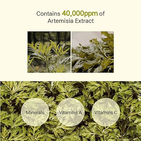 Fraijour Original Artemisia Injin - Ssuk Bubble Foam Cleanser 200ml – Soothing & Deep Cleansing Foam for Fresh, Clear Skin" - Korean Beauty KR