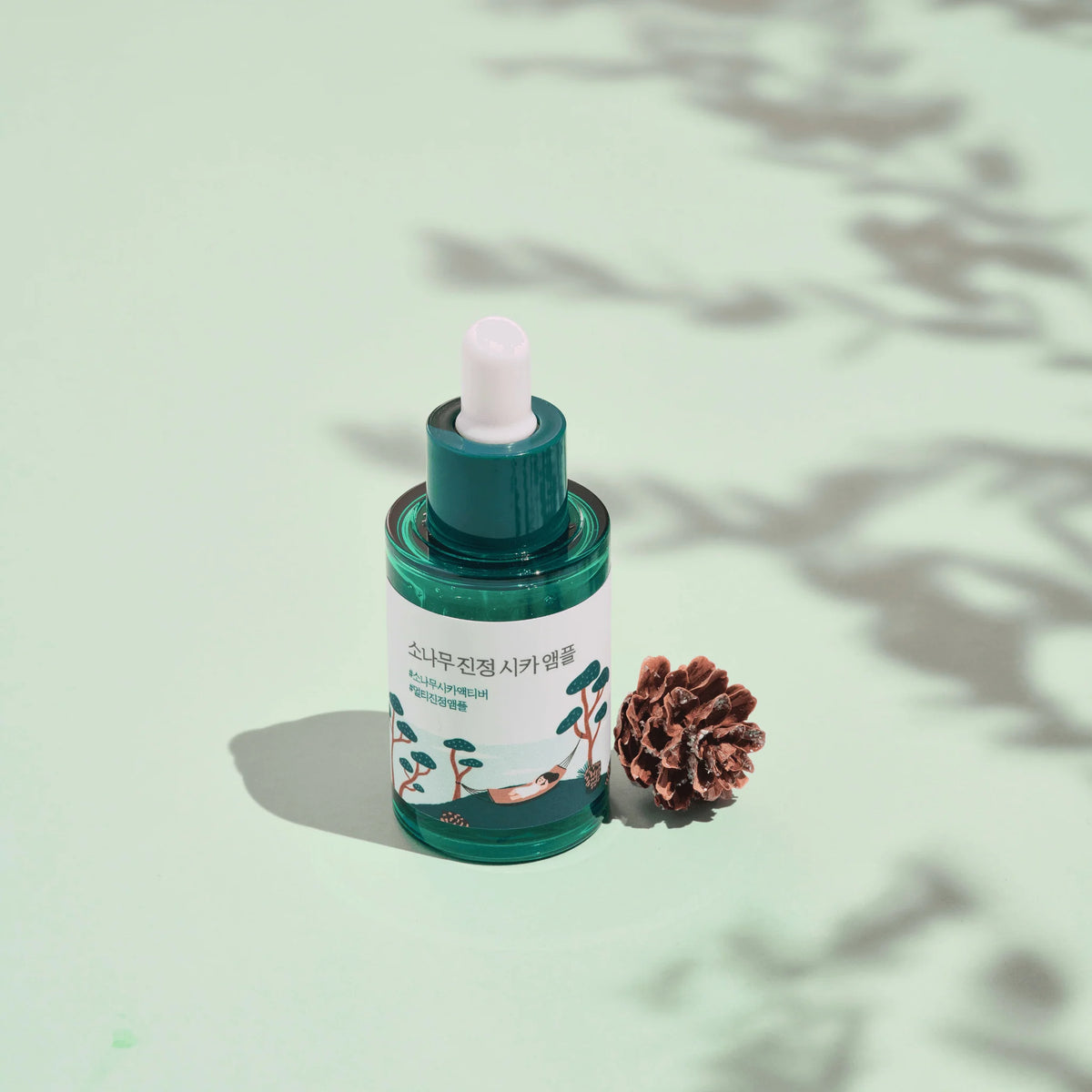 Round Lab Pine Calming Cica Ampoule 30ml – Soothing & Hydrating Ampoule for Sensitive, Irritated Skin - Korean Beauty KR