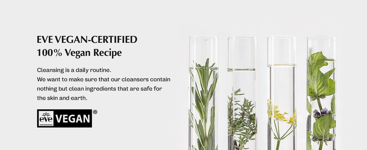 Manyo Factory Pure & Deep Cleansing Foam 200ml – Gentle & Deep Cleansing Foam for Clear, Refreshing Skin - Korean Beauty KR